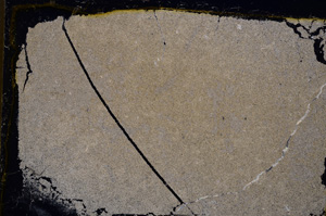 Cross Polarized, E20617