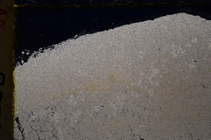 Cross Polarized, E20619