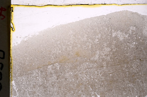 Plane Polarized, E20619