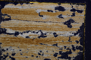 Cross Polarized, E20623