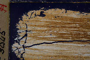 Cross Polarized, E20624