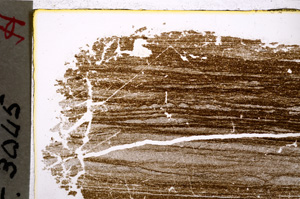Plane Polarized, E20624