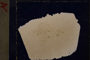 Cross Polarized, E20650