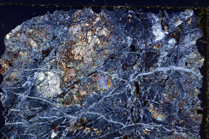 Cross Polarized, E20654