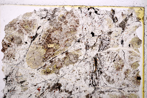Plane Polarized, E20654