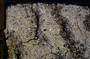 Cross Polarized, E20670