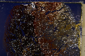 Cross Polarized, E20672