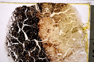 Plane Polarized, E20672