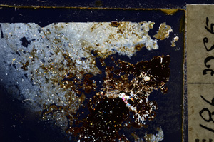 Cross Polarized, E20672/A