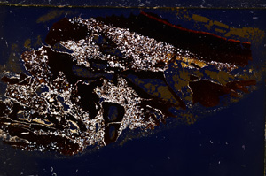 Cross Polarized, E20676