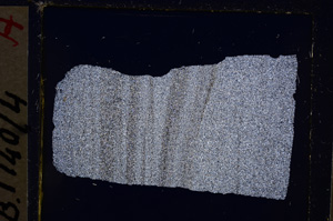 Cross Polarized, E20680