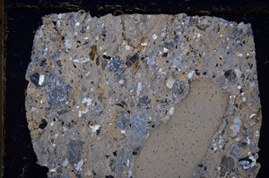 Cross Polarized, E20691