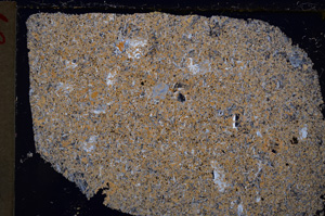 Cross Polarized, E20692