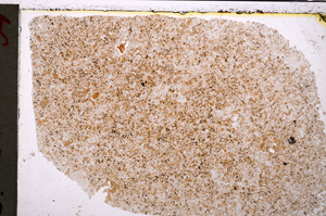 Plane Polarized, E20692