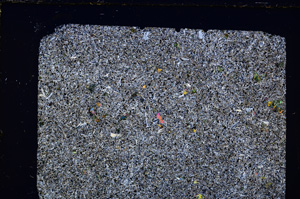 Cross Polarized, E20732