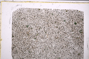 Plane Polarized, E20732