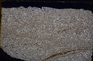 Cross Polarized, E20738