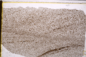 Plane Polarized, E20738