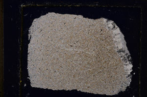 Cross Polarized, E20742