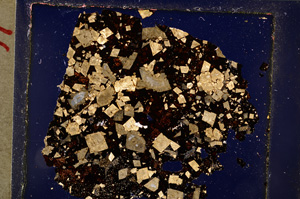 Cross Polarized, E20743