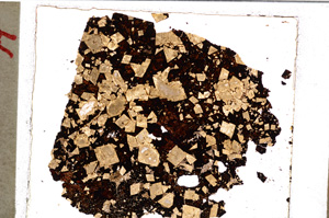 Plane Polarized, E20743