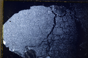 Cross Polarized, E20768