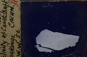 Cross Polarized, E20769