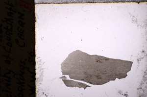 Plane Polarized, E20769