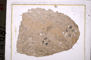 Plane Polarized, E20779