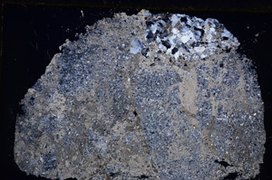 Cross Polarized, E20781