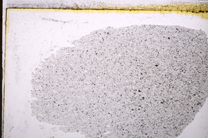 Plane Polarized, E20783