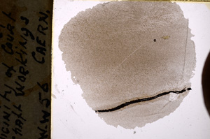 Plane Polarized, E20784