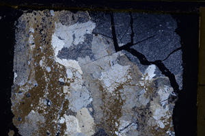 Cross Polarized, E20792