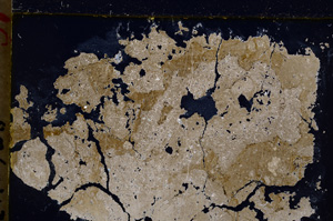 Cross Polarized, E20793