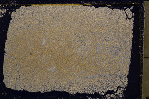 Cross Polarized, E20794