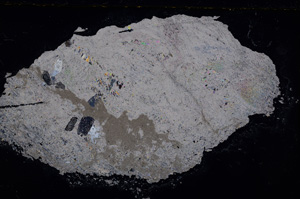 Cross Polarized, E20804