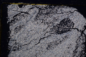 Cross Polarized, E20805