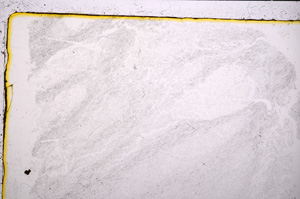 Plane Polarized, E20805