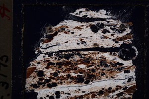 Cross Polarized, E20814