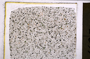 Plane Polarized, E20839