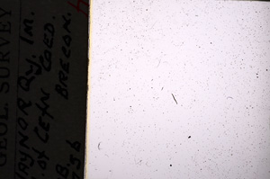 Plane Polarized, E20841/A