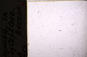 Plane Polarized, E20841/B