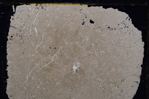 Cross Polarized, E20842