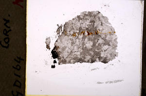 Plane Polarized, E20861/A