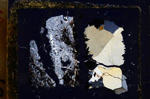Cross Polarized, E20864