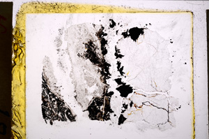 Plane Polarized, E20864