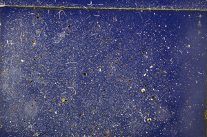 Cross Polarized, E20877