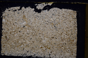 Cross Polarized, E20896