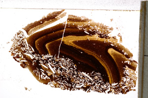 Plane Polarized, E20897