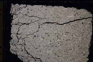 Cross Polarized, E20900